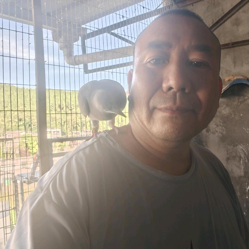 人不犯我，我不犯人于胖子