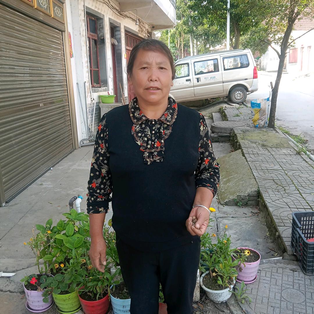 唐敏  植物分享