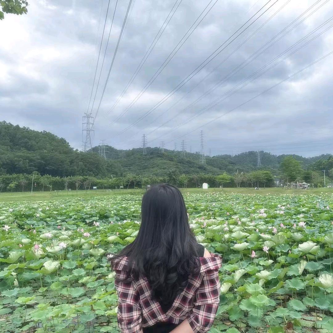 🍃🍃
