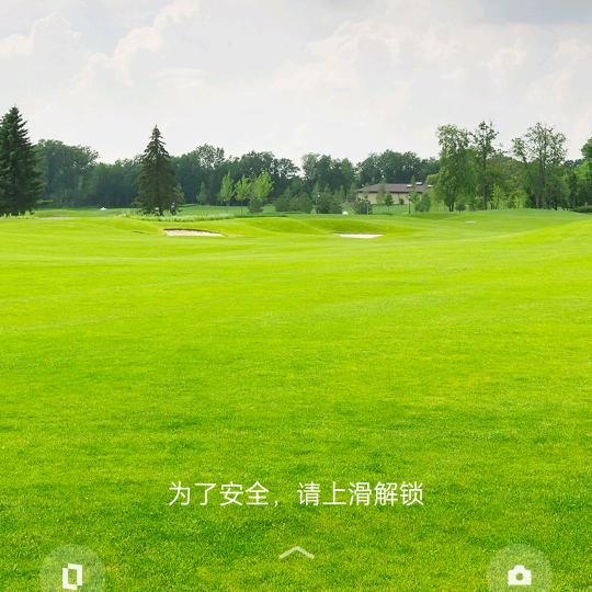 野狼光头