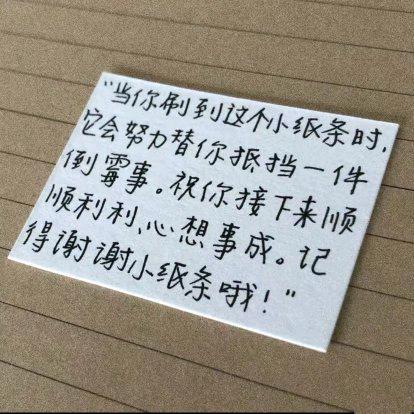 想养猫的娃娃鱼