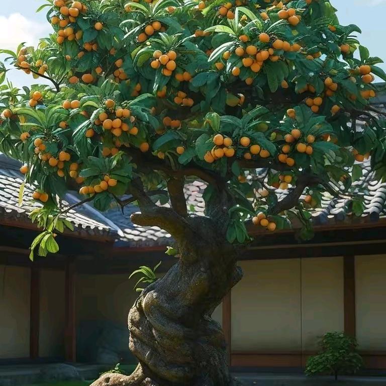 胡子拉碴~
