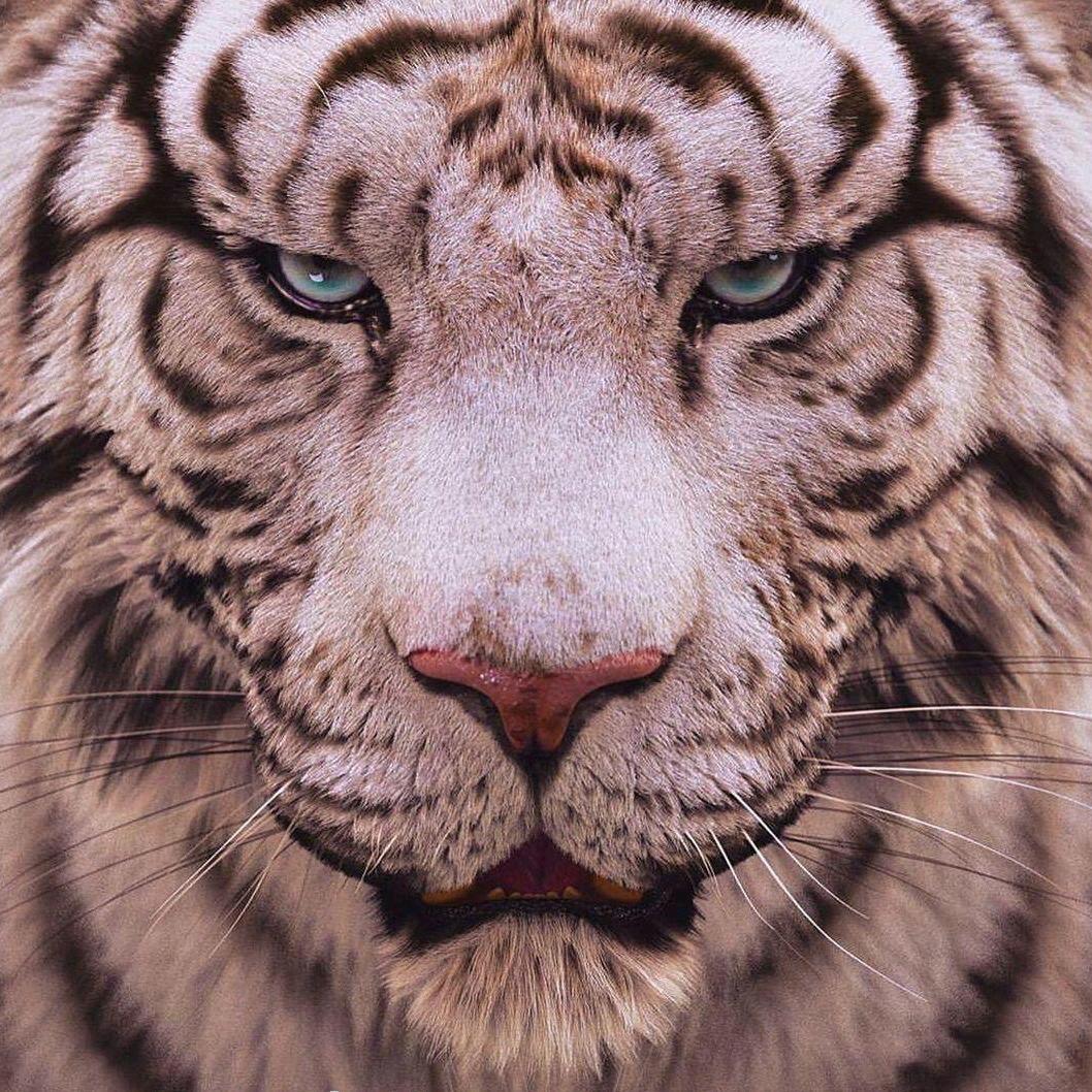 aaaaaaa
