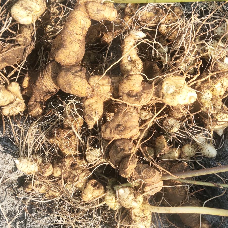 💘烟花💞易冷