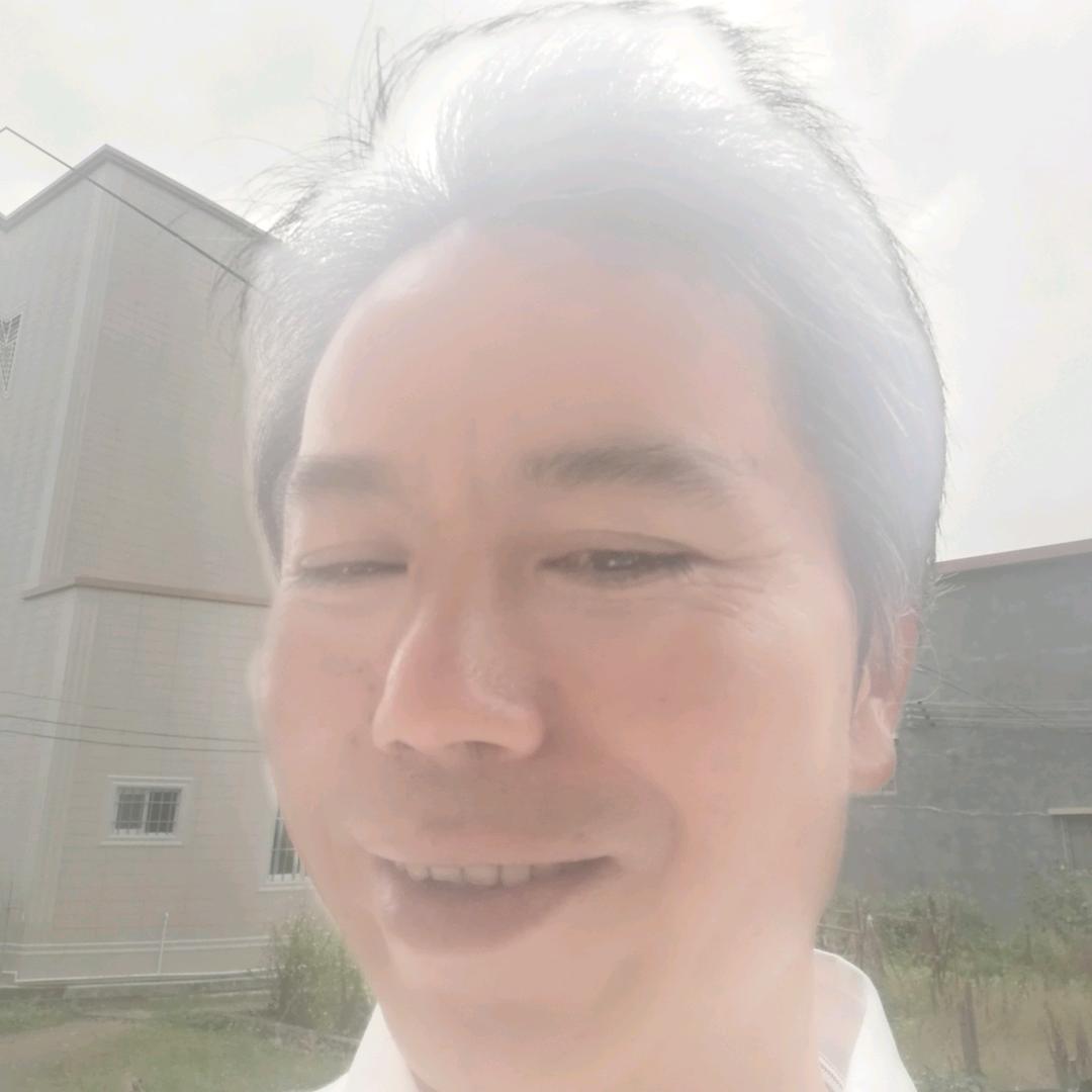 春天的绿叶