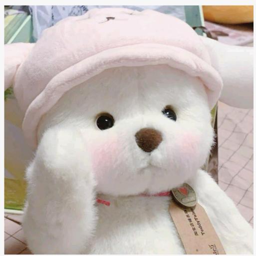 CC熊.