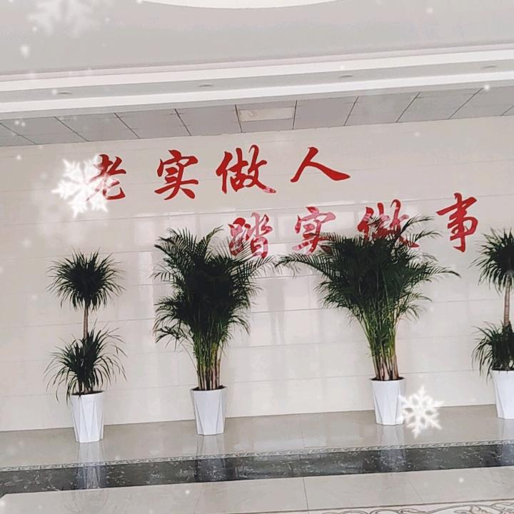 金乡县江晟贸易股份有限公司