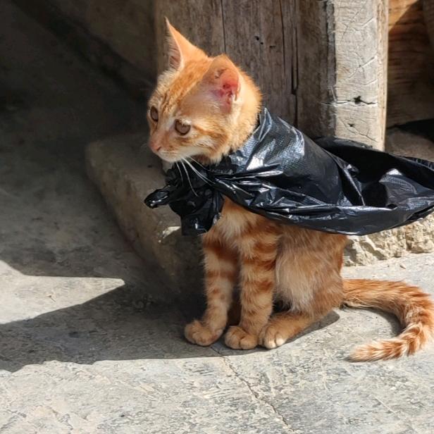 🌈🌈დ᭄ꦿ唯ꦿ薆꧔ꦿ℘⸙y🌈🌈