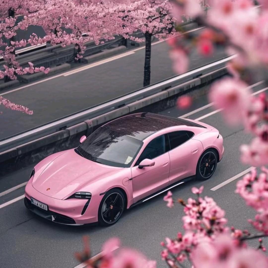 包菜哥