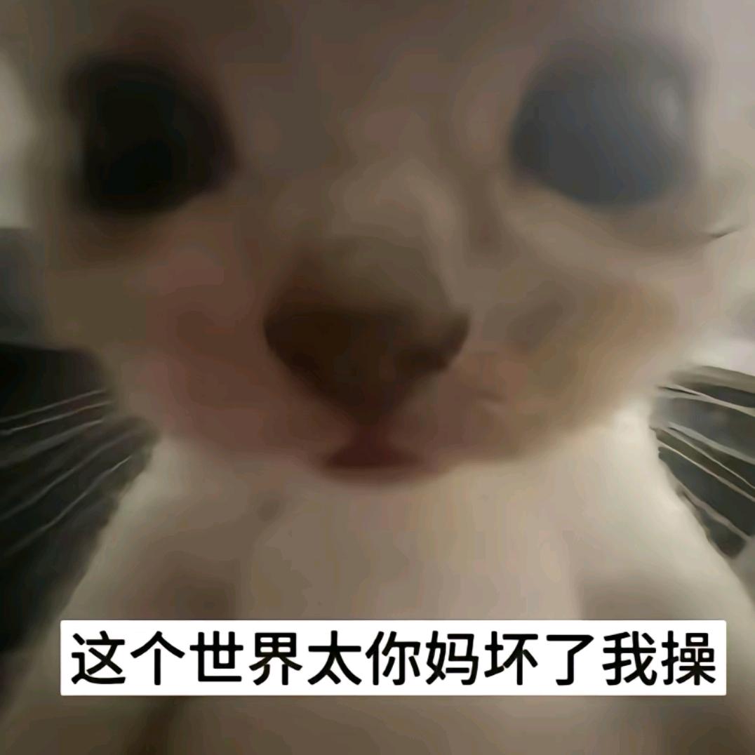 失去的或许本就不属于我