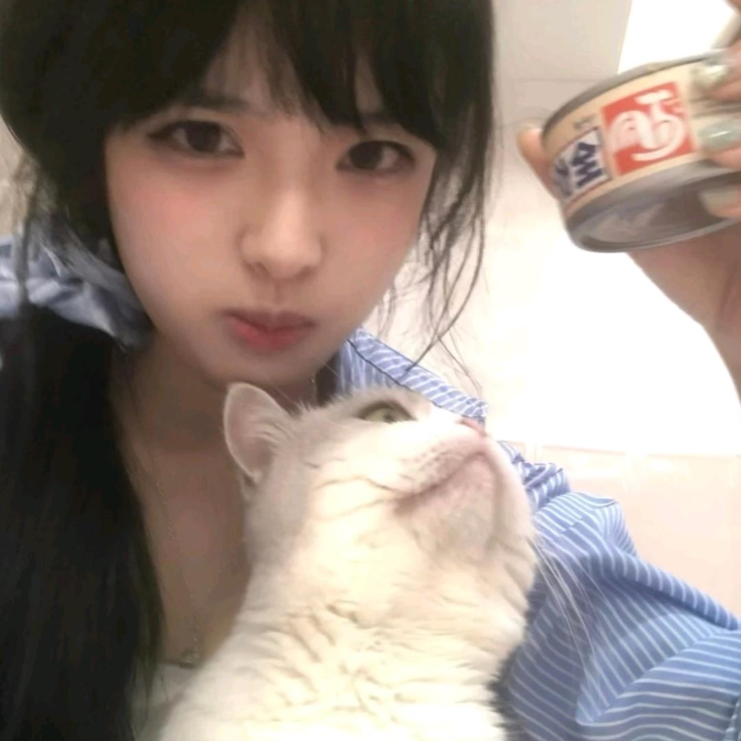 温柔小慧ღ