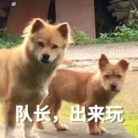 阿菜