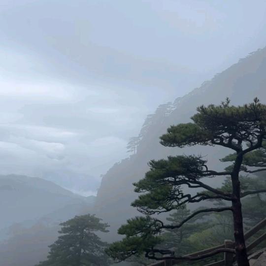 凉秋
