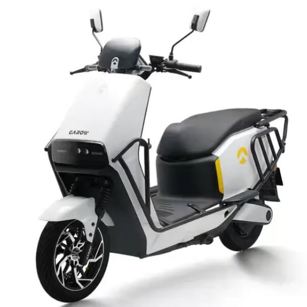 金箭电动车（莱西封家泊店）