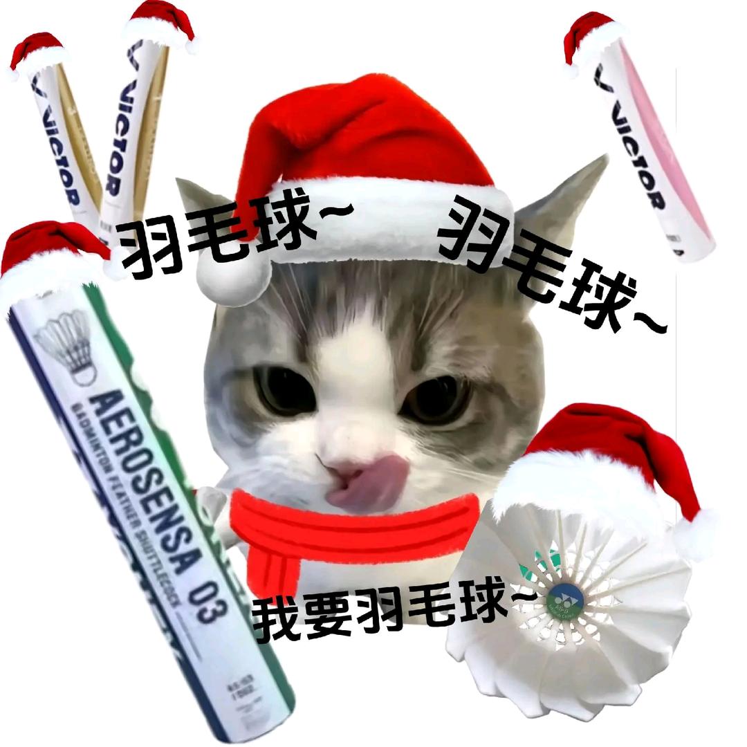 小含大王