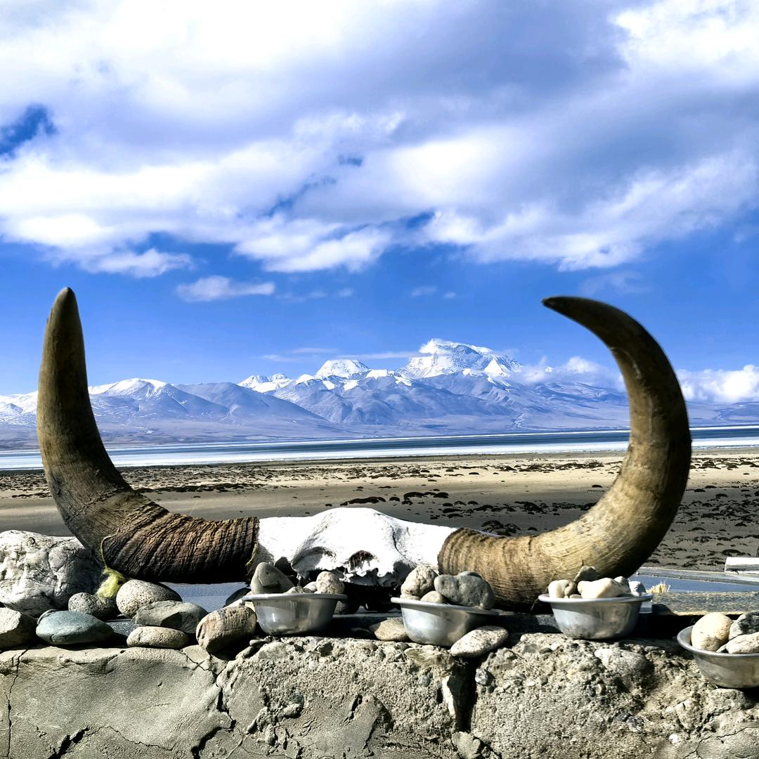 星野朔方房车营地