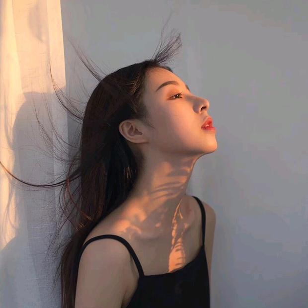 晨阳🌺