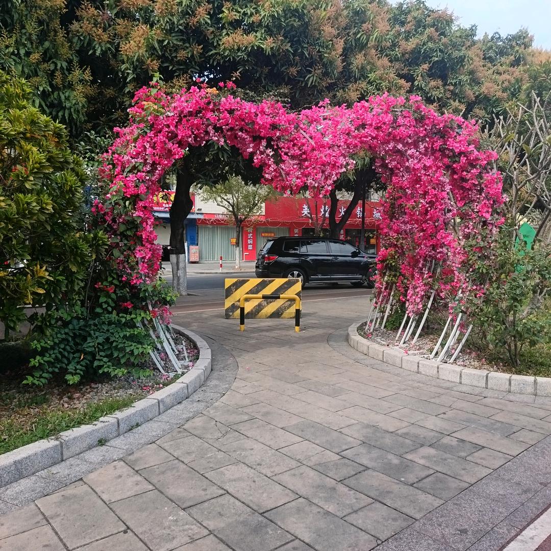 改变自己