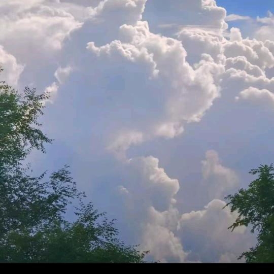 顺其自然🚩🚩