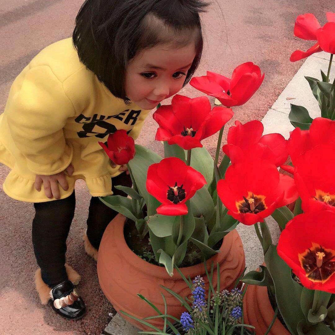 阿连🌹