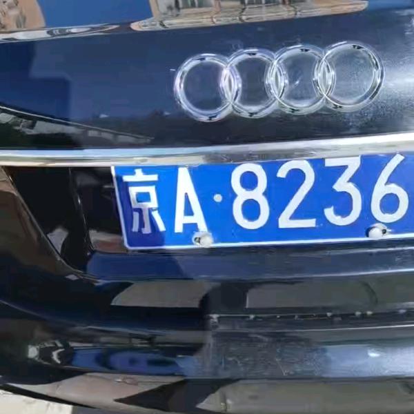 雁南飞🦅