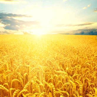 某男某女某小孩