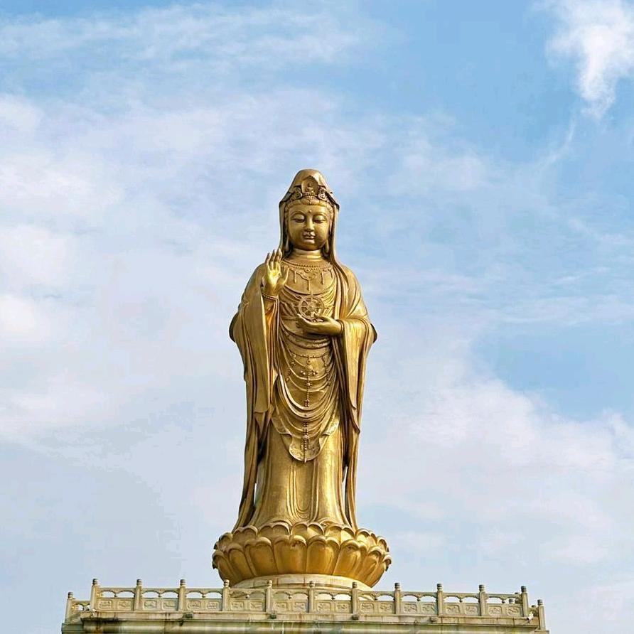 🌸越来越好🌸