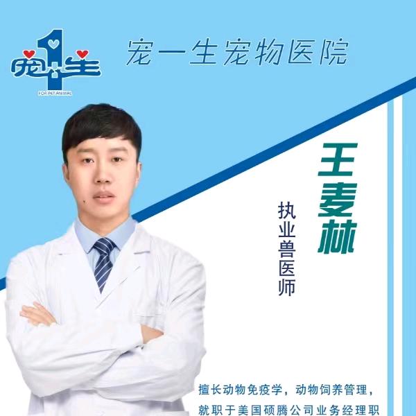 孟州宠一生动物医院