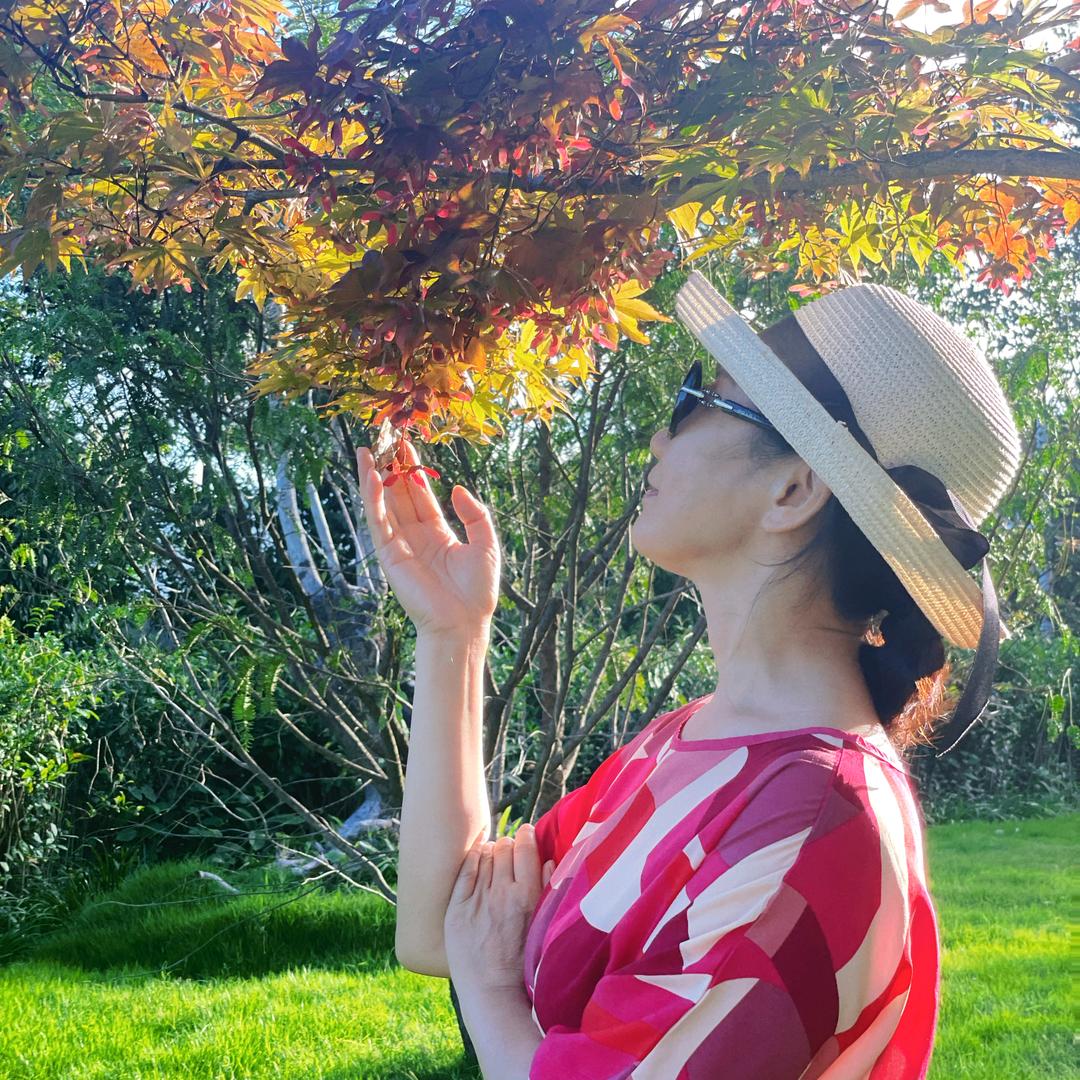 夏天谭