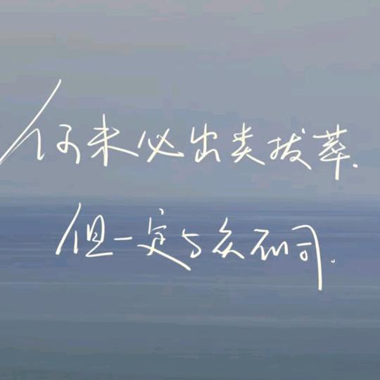 轻风天涯
