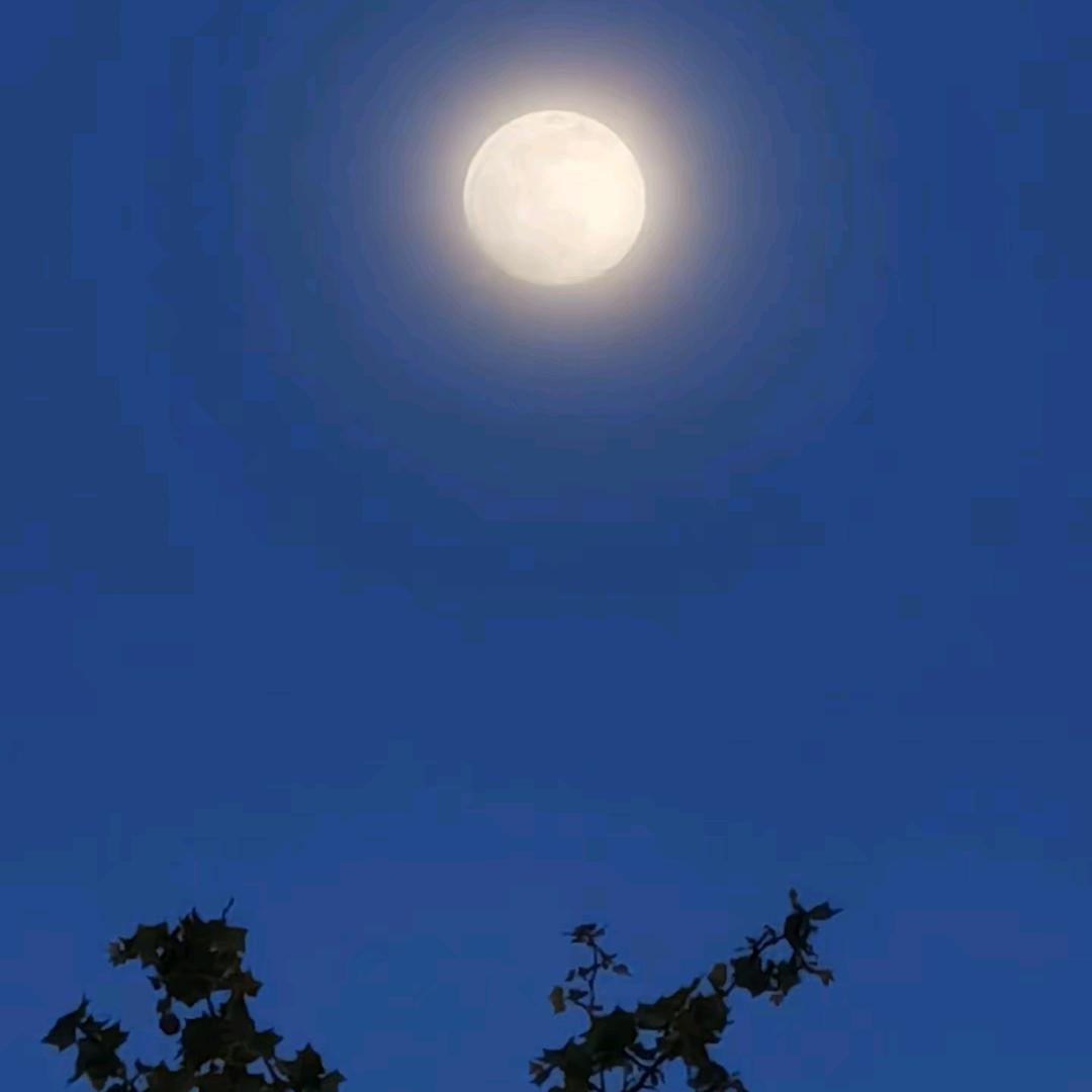 月光照心明