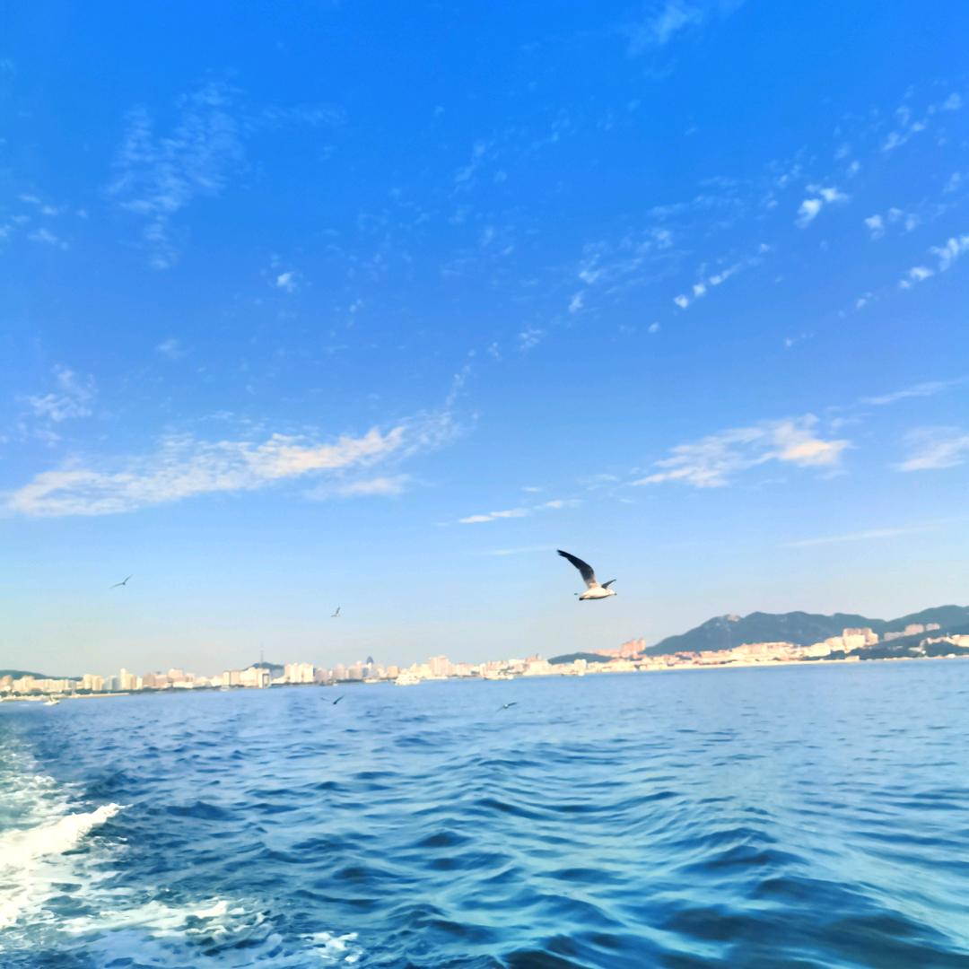 跟着阿飞去旅行