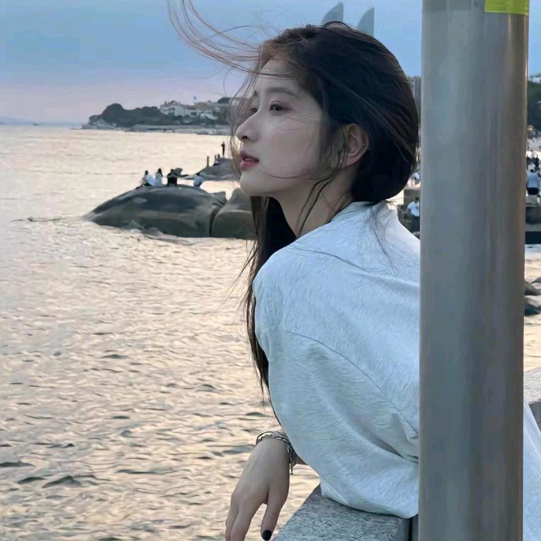 小染优选