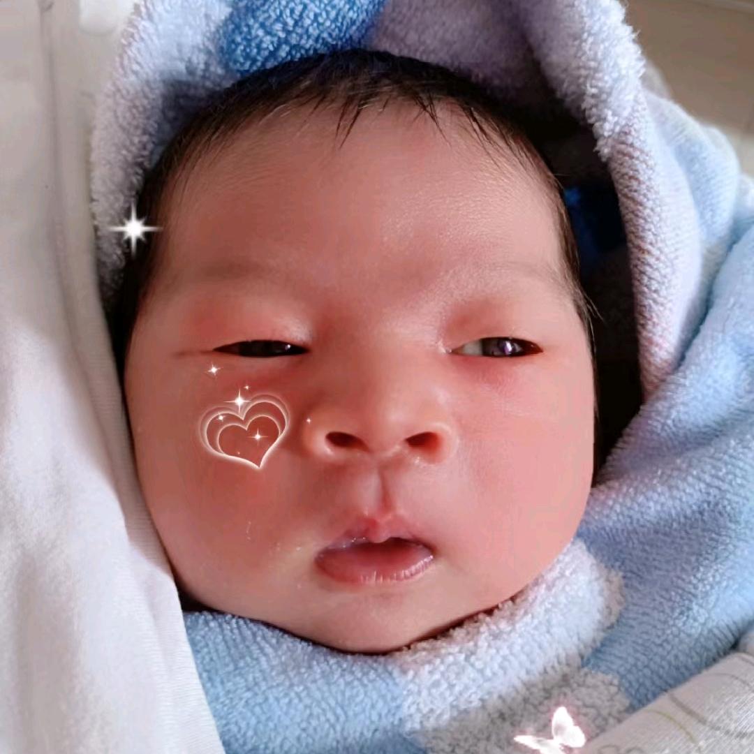 Lo迟ᨶ႒ᩚ遇ᵥ̶ₑ̶ᩚ:: 🦋: