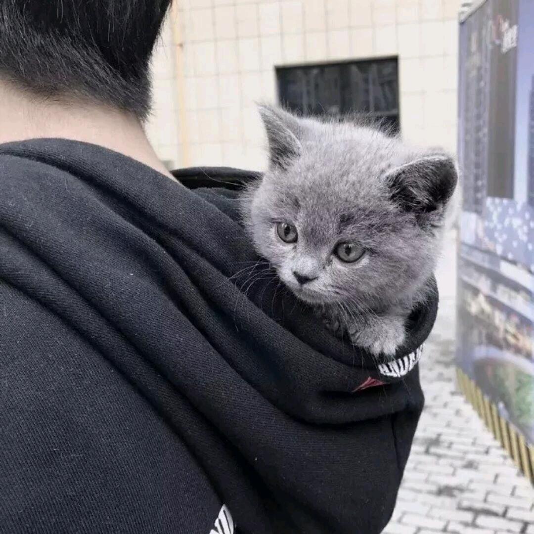 阿翔