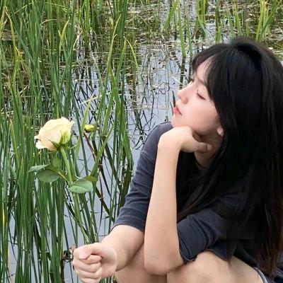 可橙