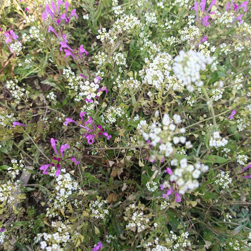 💕᭄ꦿ很幸运ོ࿆遇见你᭄🕊