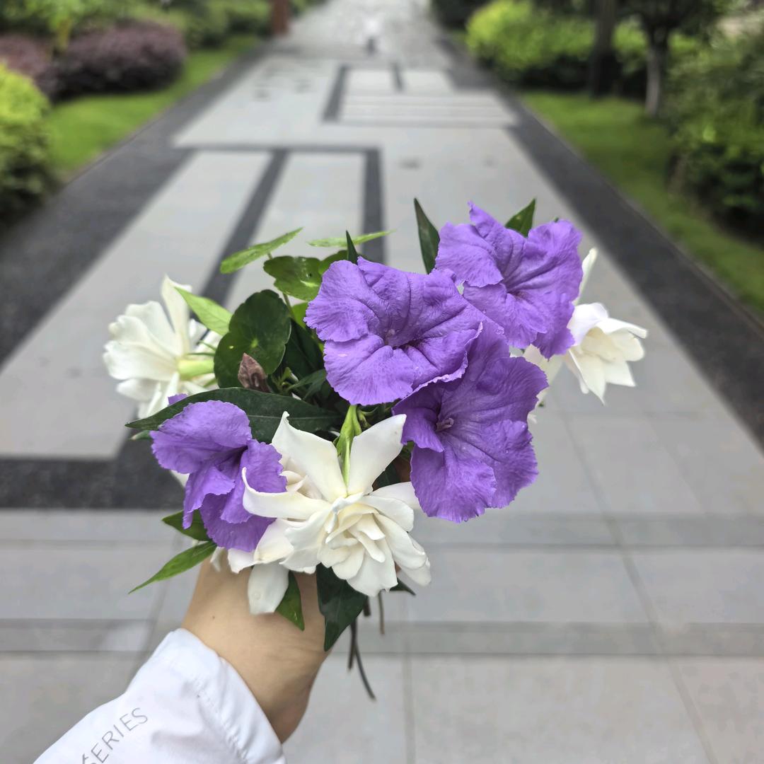 慕紫