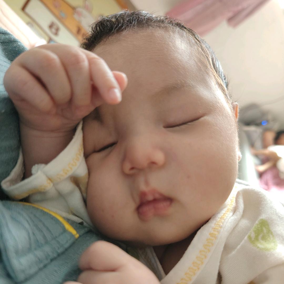 ꧁一琴一鹤꧂ℳ℘🕊҈҉℘ৢ