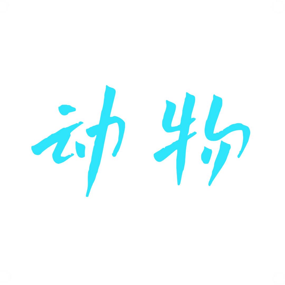 动物异世界