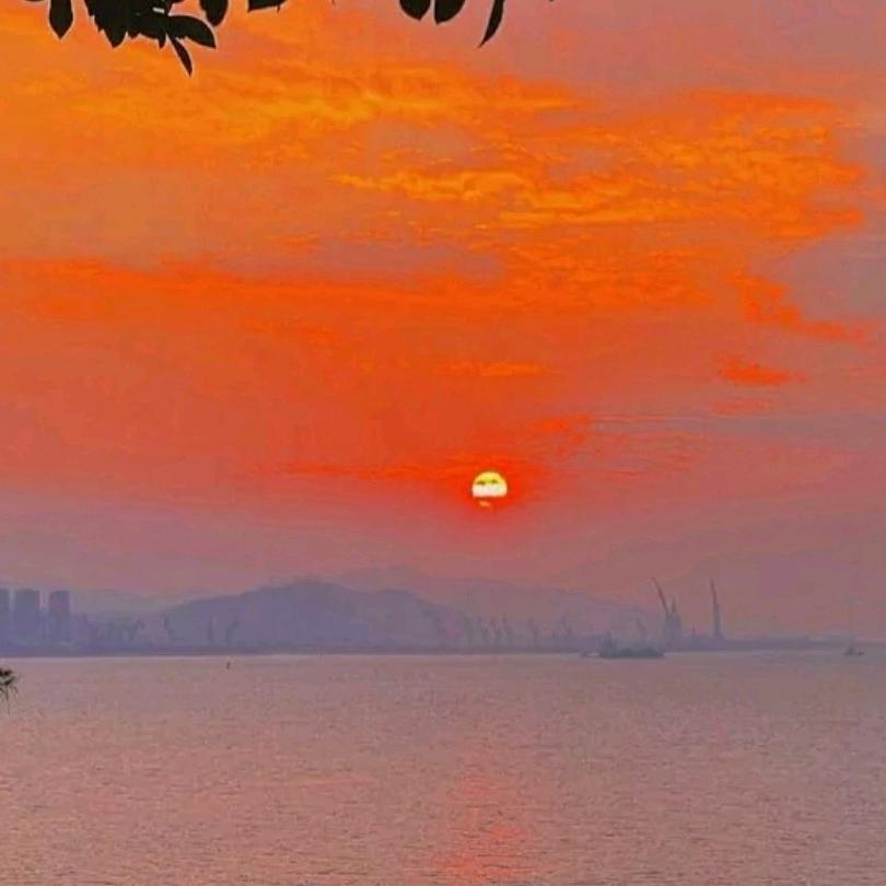 小林学长升学指导