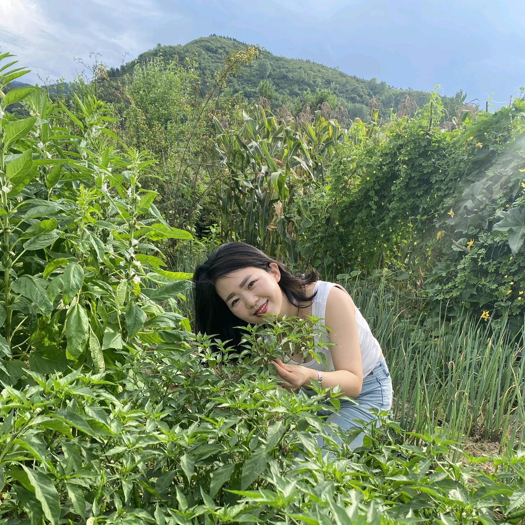 阿莲乡村的生活