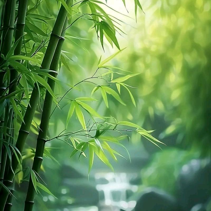 幽兰姑姑