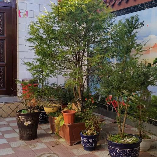 👉江郎才尽👈