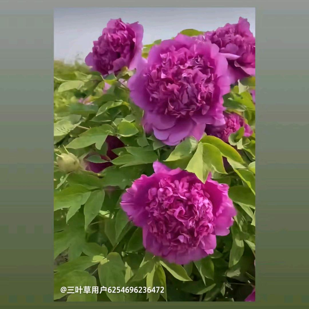 123