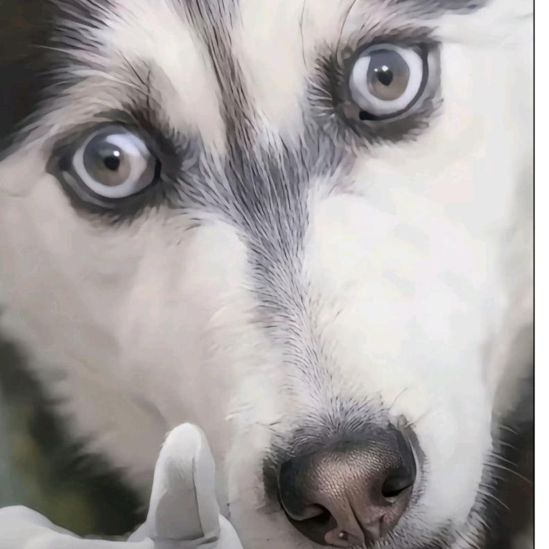 🍁⃢👁ܫ👁⃢🍁