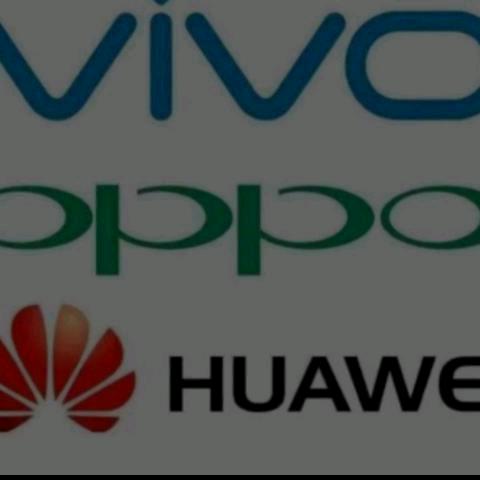上港志诚驾校报名