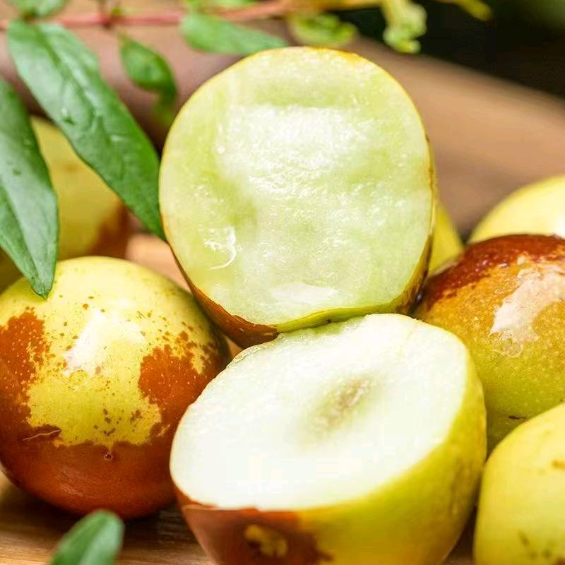 新疆二十二团冬枣批发零售