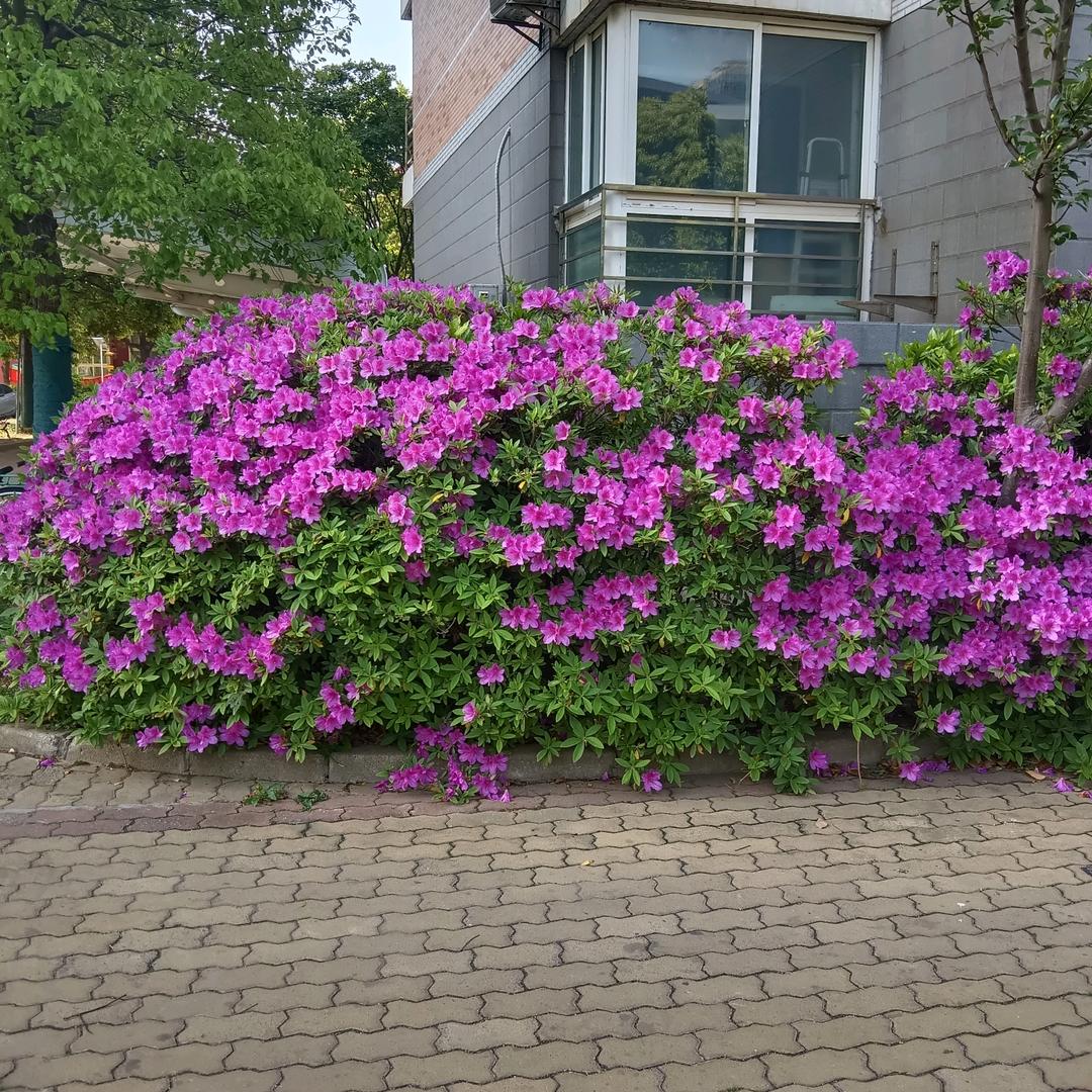 用户85江苏徐州94638130581