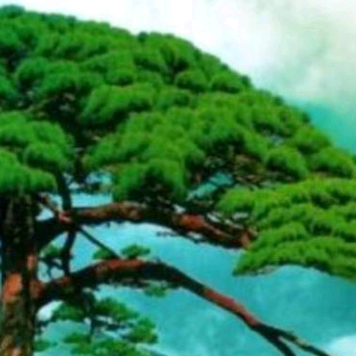 万事如意